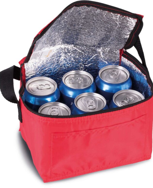 MINI COOL BAG/МИНИ ХЛАДИЛНА ЧАНТА