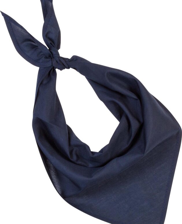FIESTA - BANDANA