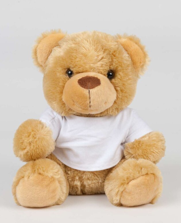 BEAR IN A T-SHIRT